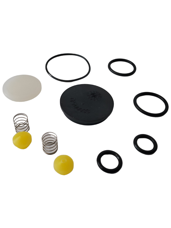 Butler System External Check Valve Pulse Pump Repair Kit
