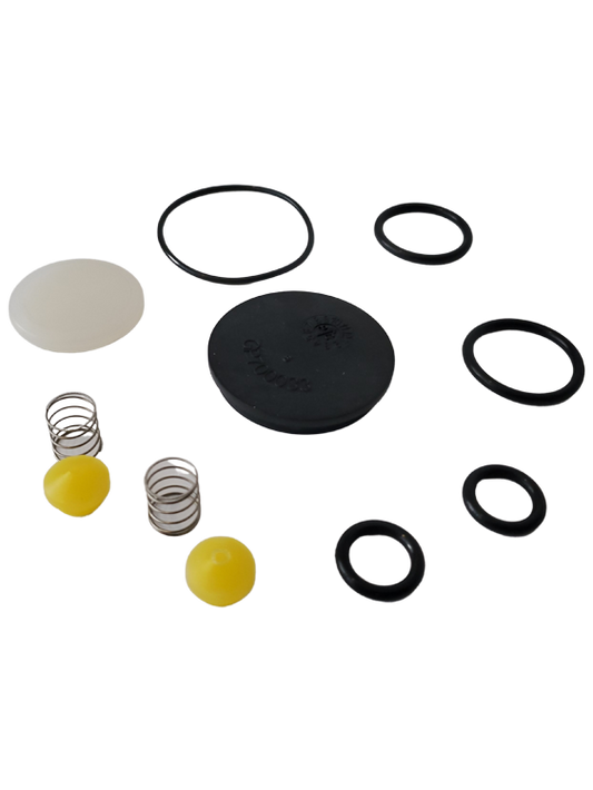 Butler System External Check Valve Pulse Pump Repair Kit